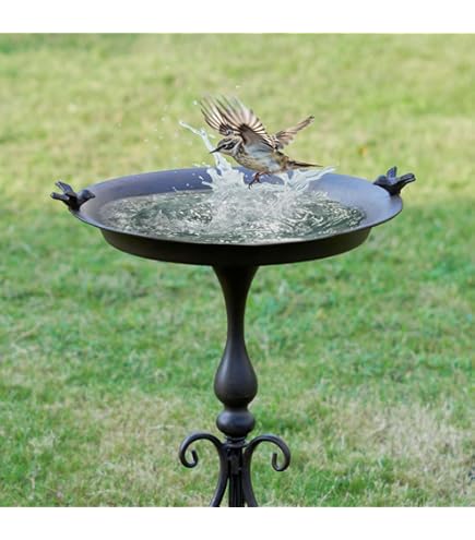 【アイアン製】バードバス bird bath Amazon.com: Metal Bird Bath - Iron Birdbath 28.5